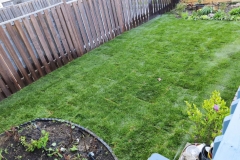 Lawn-sprinkler-install-and-sod-install