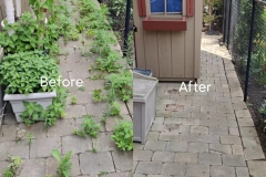 weed-clean-up-1