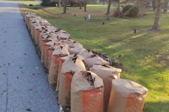 Fall-leaves-clean-up-1