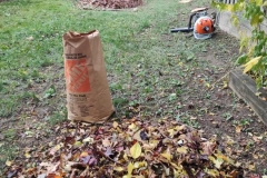 Fall-leaves-clean-up-2