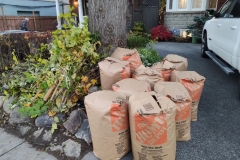 Fall-leaves-clean-up-3