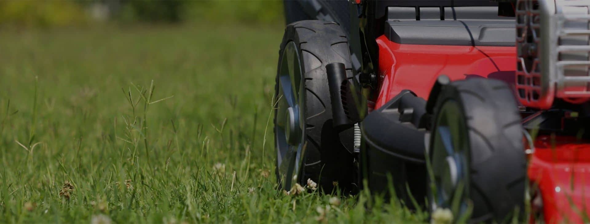 Lawn Mowing, Lawn Edging, Lawn Dethatching, Hedge Trimming, Over-seeding, Fertilizing, Planting, and Mulching.